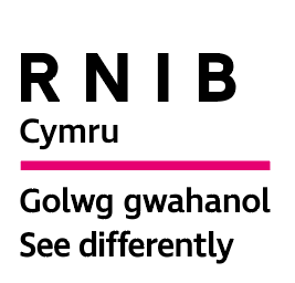 RNIB Wales logo